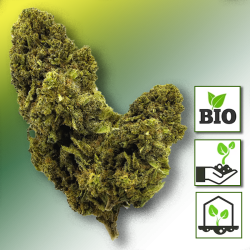 CANNATONIC